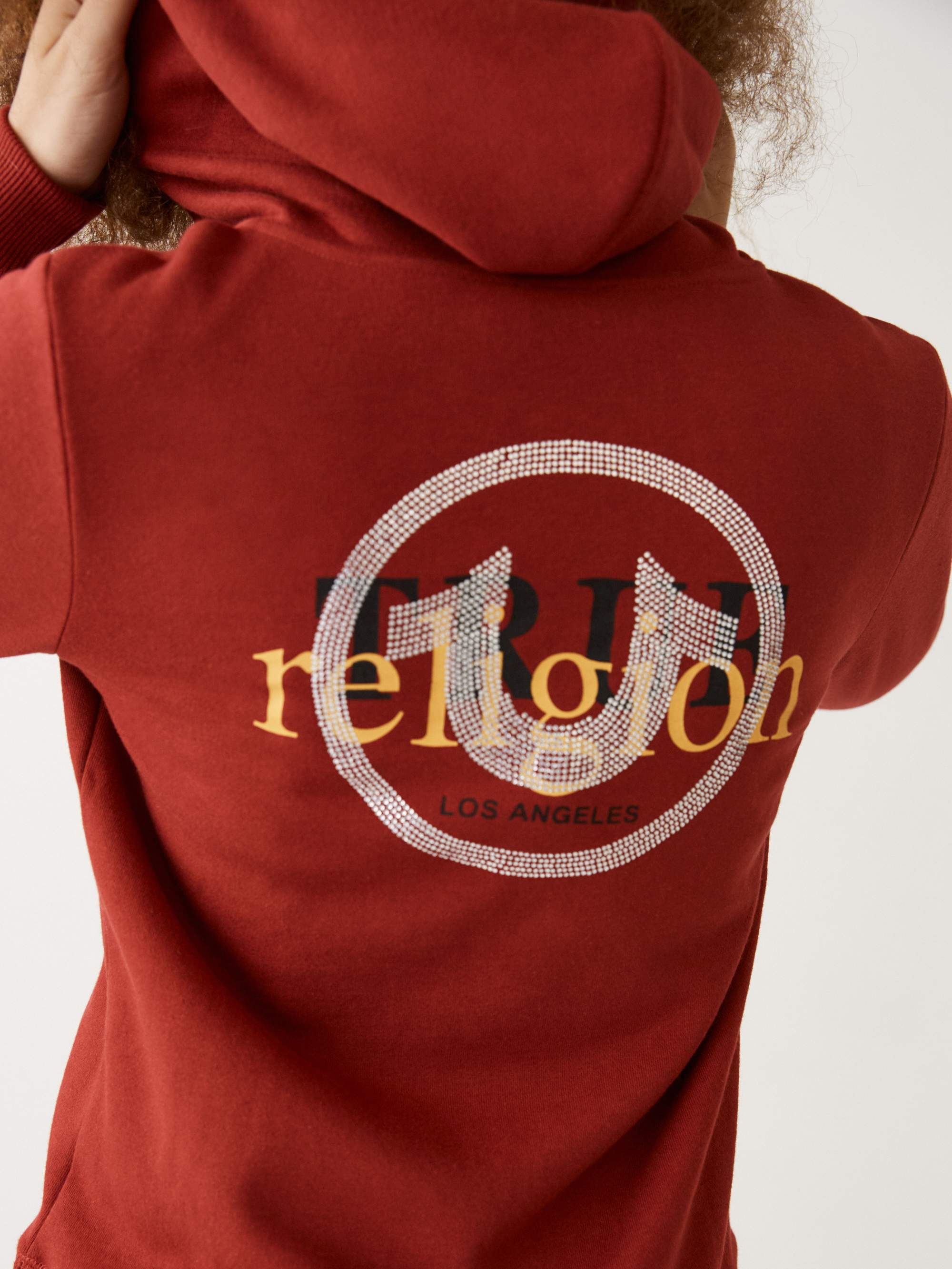 CRYSTAL LOGO ZIP HOODIE