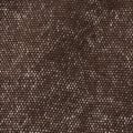 BIG T CARPENTER PANT