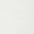 RICKY SUPER T FRAYED HEM FLAP SHORT