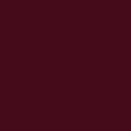 VELVET SUPER T BAGGY CARGO PANT