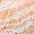 ALLOVER PRINT BUTTERFLY LACE LONG SLEEVE TOP
