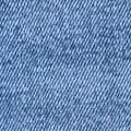 PLUS BOBBI MID RISE BAGGY CARGO JEAN