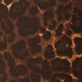 CHERRY LEOPARD SHRUNKEN HOODIE