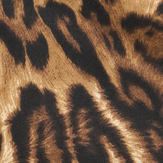 BIG T LEOPARD BUDDHA SHRUNKEN HOODIE
