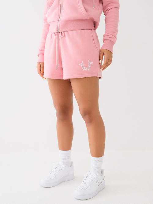 КОРОТКАЯ ПРОГУЛКА В ПОДКОВООБРАЗНОМ ЛАУНДЖЕ ИСТИННОЙ РЕЛИГИИ