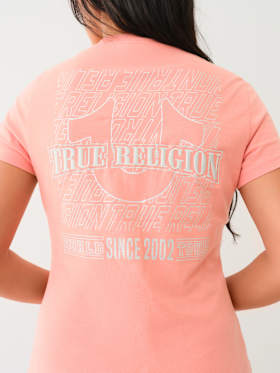 METALLIC PUFF PRINT HORSESHOE V NECK TEE