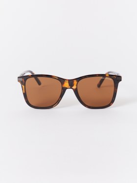 TORTOISE SHELL SUNGLASSES