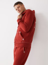 BIG T ZIP HOODIE