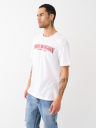 PAINTED HORSESHOE RELAXED TEE