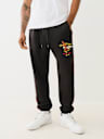 EMBROIDERED EAGLE TRACK JOGGER