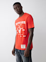 WORLD TOUR GRAPHIC HEAVYWEIGHT TEE