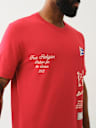 HEAVYWEIGHT COLLEGIATE LOGO TEE