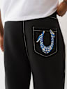 PAINTED HORSESHOE BAGGY BIG T SWEATPANT