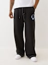 PAINTED HORSESHOE BAGGY BIG T SWEATPANT