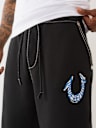 PAINTED HORSESHOE BAGGY BIG T SWEATPANT