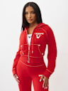 SHRUNKEN  CRYSTAL WING ZIP HOODIE