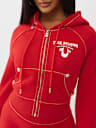 SHRUNKEN  CRYSTAL WING ZIP HOODIE