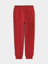 PANTALONES JOGGER CON COSTURAS PARA NIÑO