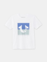 BOYS TWO TONE BRANDED LOGO TEE