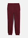 BOYS EMBROIDERED HORSESHOE JOGGER