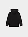 BOYS REGISTERED HORSESHOE HOODIE