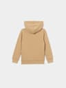 BOYS REGISTERED HORSESHOE HOODIE