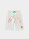 SHORTS DEPORTIVOS BORDADOS TRUE RELIGION