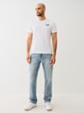 GRADIENT BUDDHA TEE