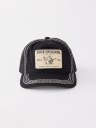 BIG T TRUCKER HAT