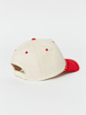 TRUE RELIGION CHAMPS HAT