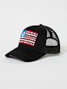 HORSESHOE FLAG TRUCKER HAT