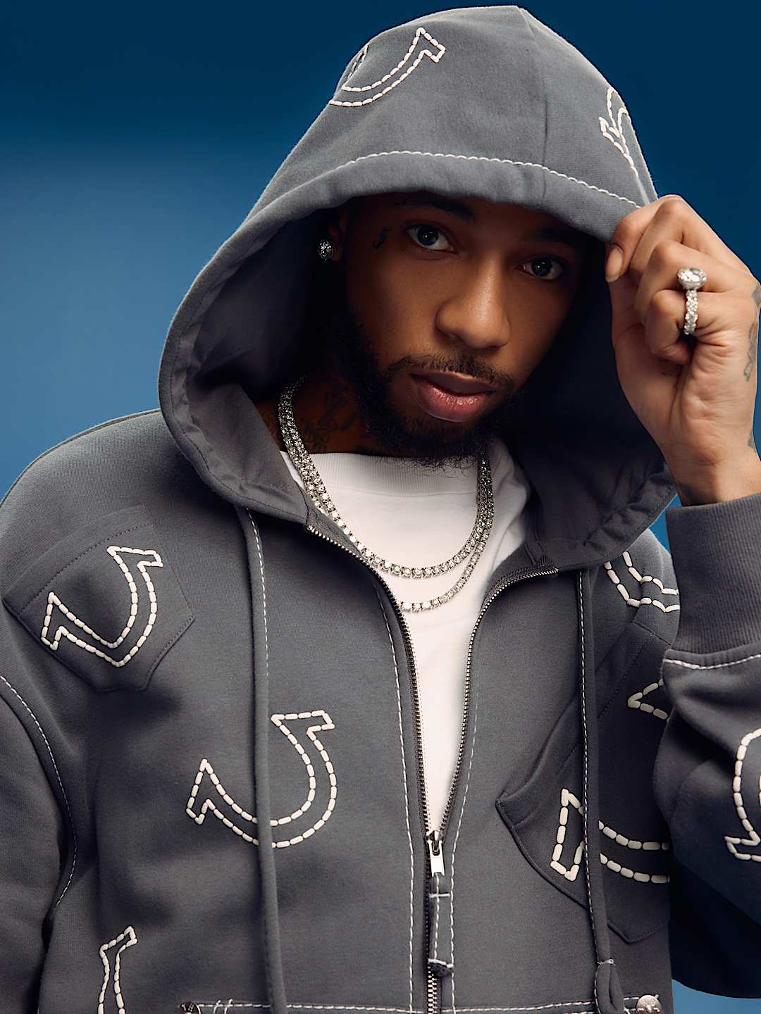 HORSESHOE BIG T BOXY ZIP HOODIE, image 2