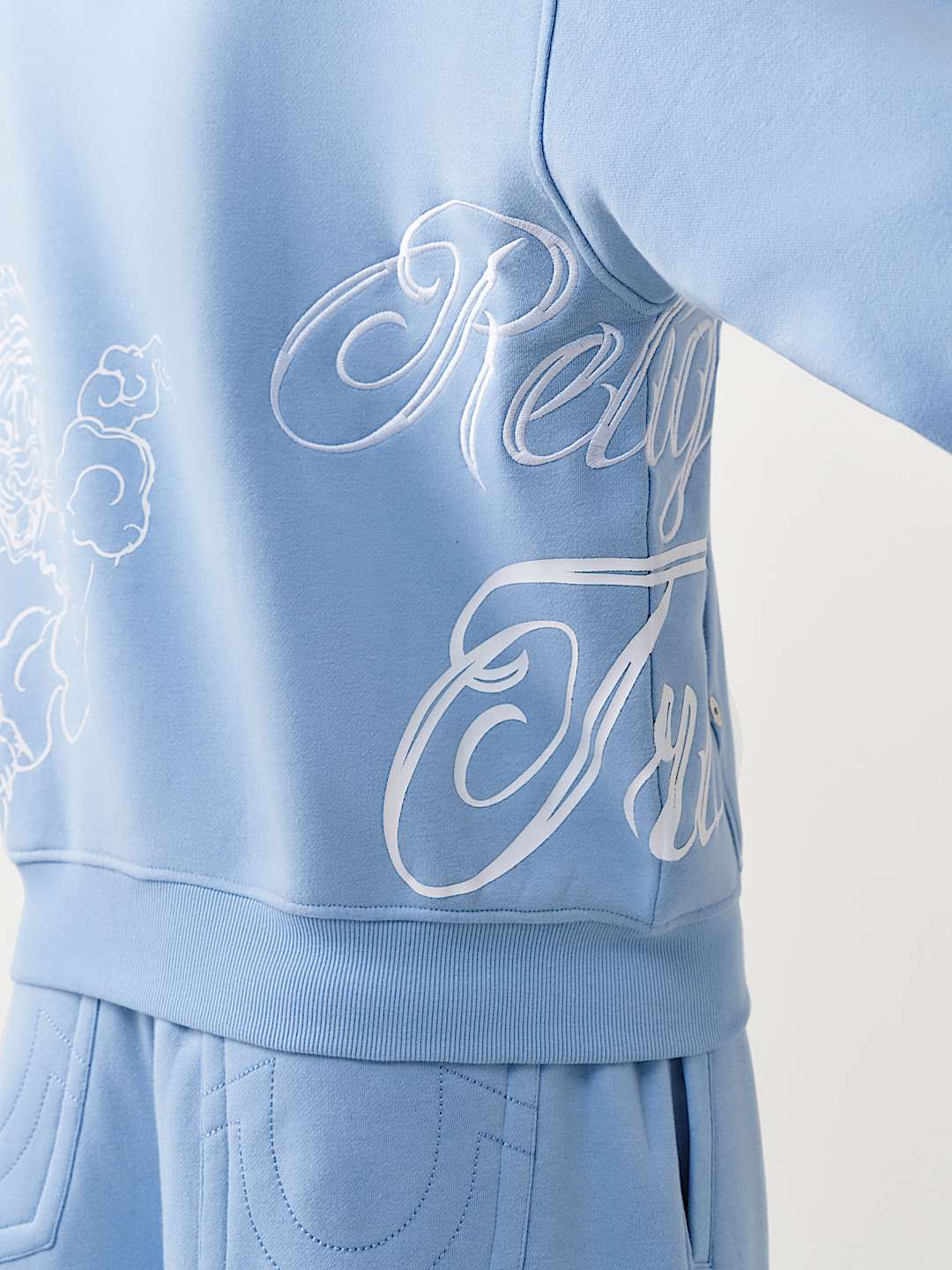 TIGER SCRIPT BOXY HOODIE, image 6