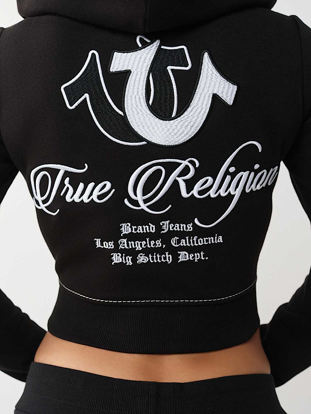 EMBROIDERED BIG T SHRUNKEN ZIP HOODIE, image 1