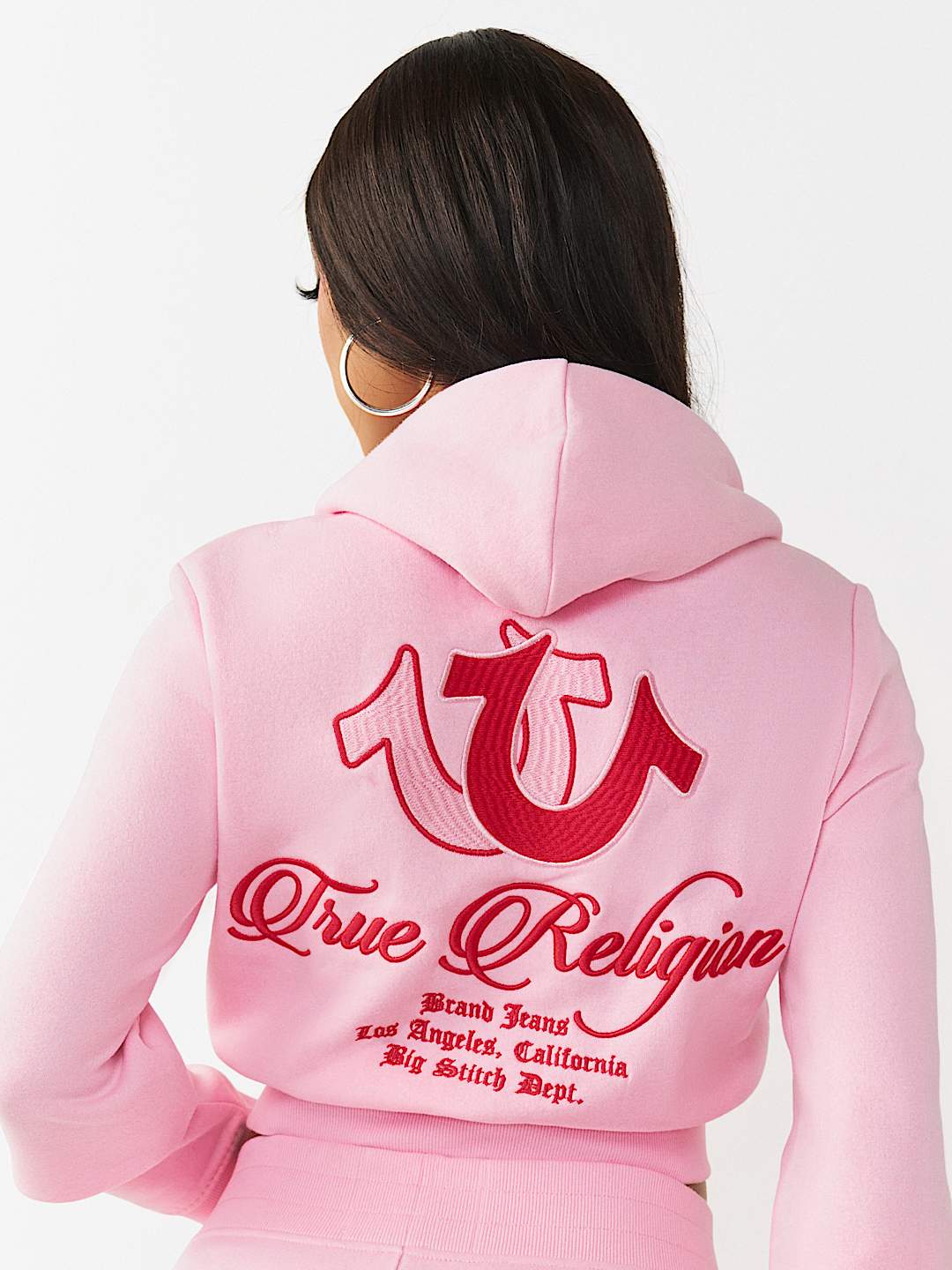 EMBROIDERED BIG T SHRUNKEN ZIP HOODIE, image 6