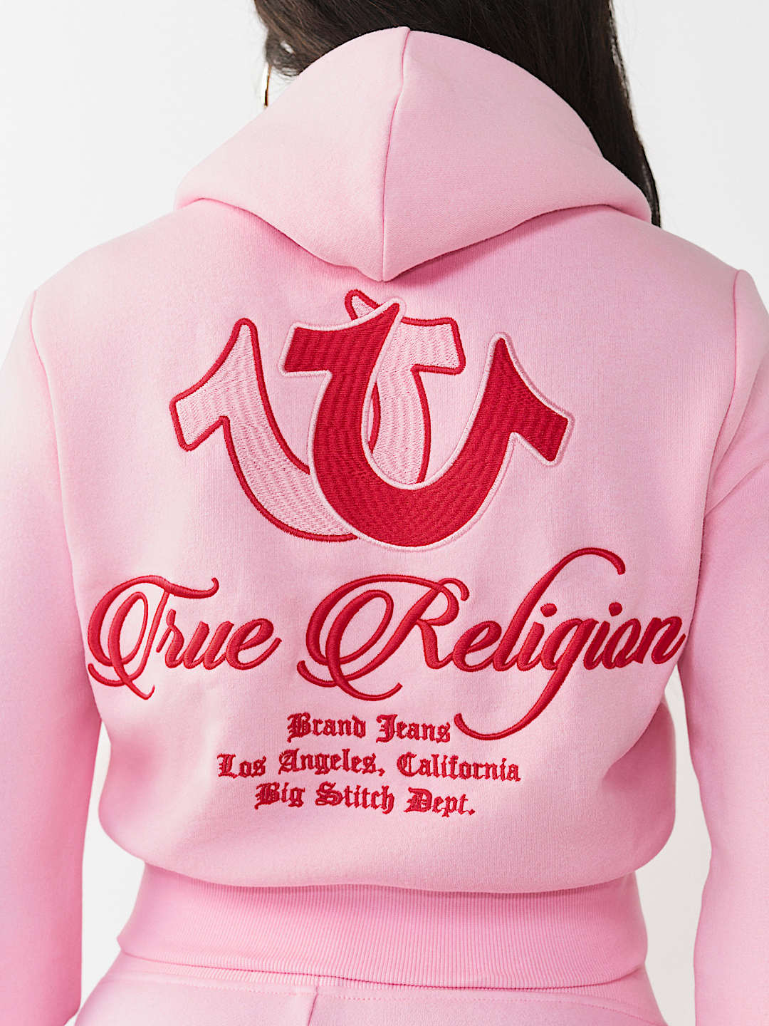 EMBROIDERED BIG T SHRUNKEN ZIP HOODIE, image 1