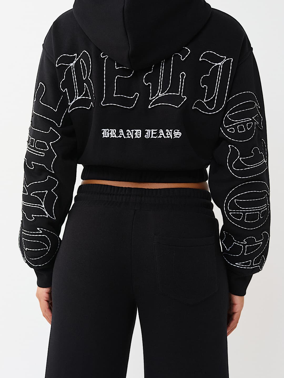 BIG T APPLIQU&Eacute; RELAXED ZIP HOODIE, image 1