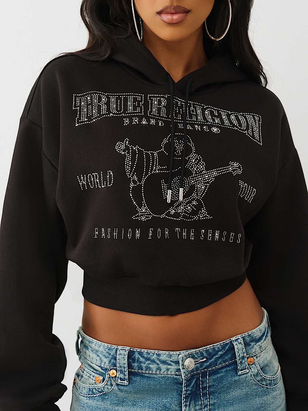 CRYSTAL LOGO SHRUNKEN HOODIE, image 1