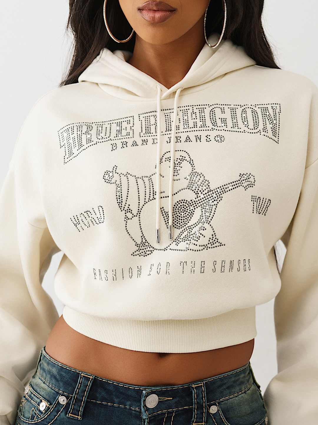 CRYSTAL LOGO SHRUNKEN HOODIE, image 1