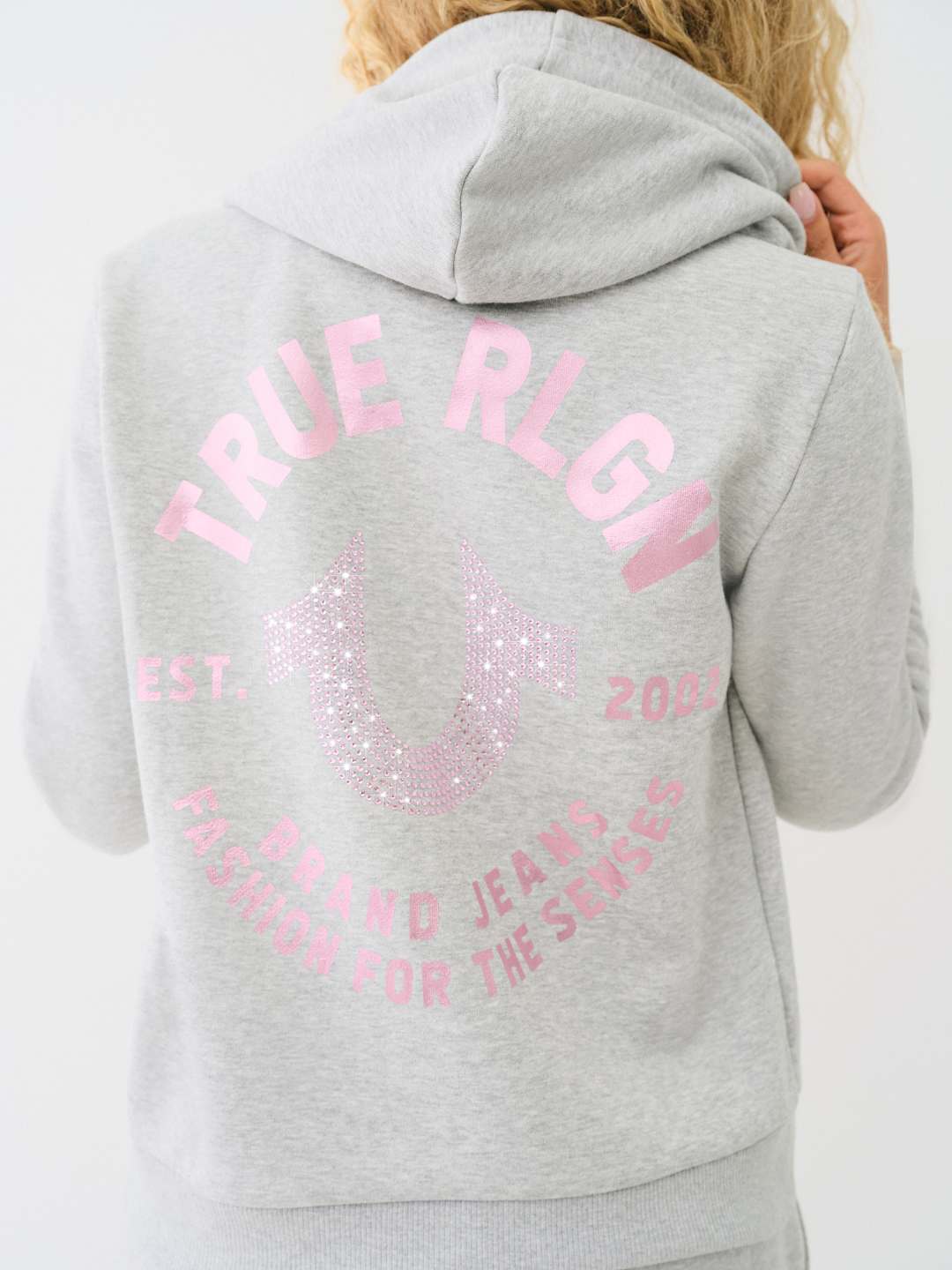 CRYSTAL METALLIC LOGO ZIP HOODIE, image 1