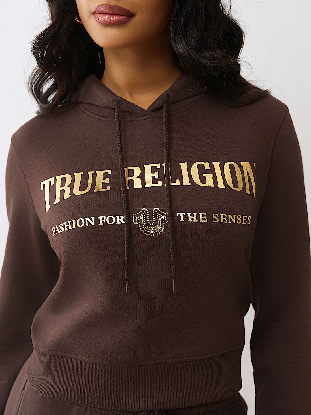 TRUE RELIGION METALLIC HOODIE, image 1