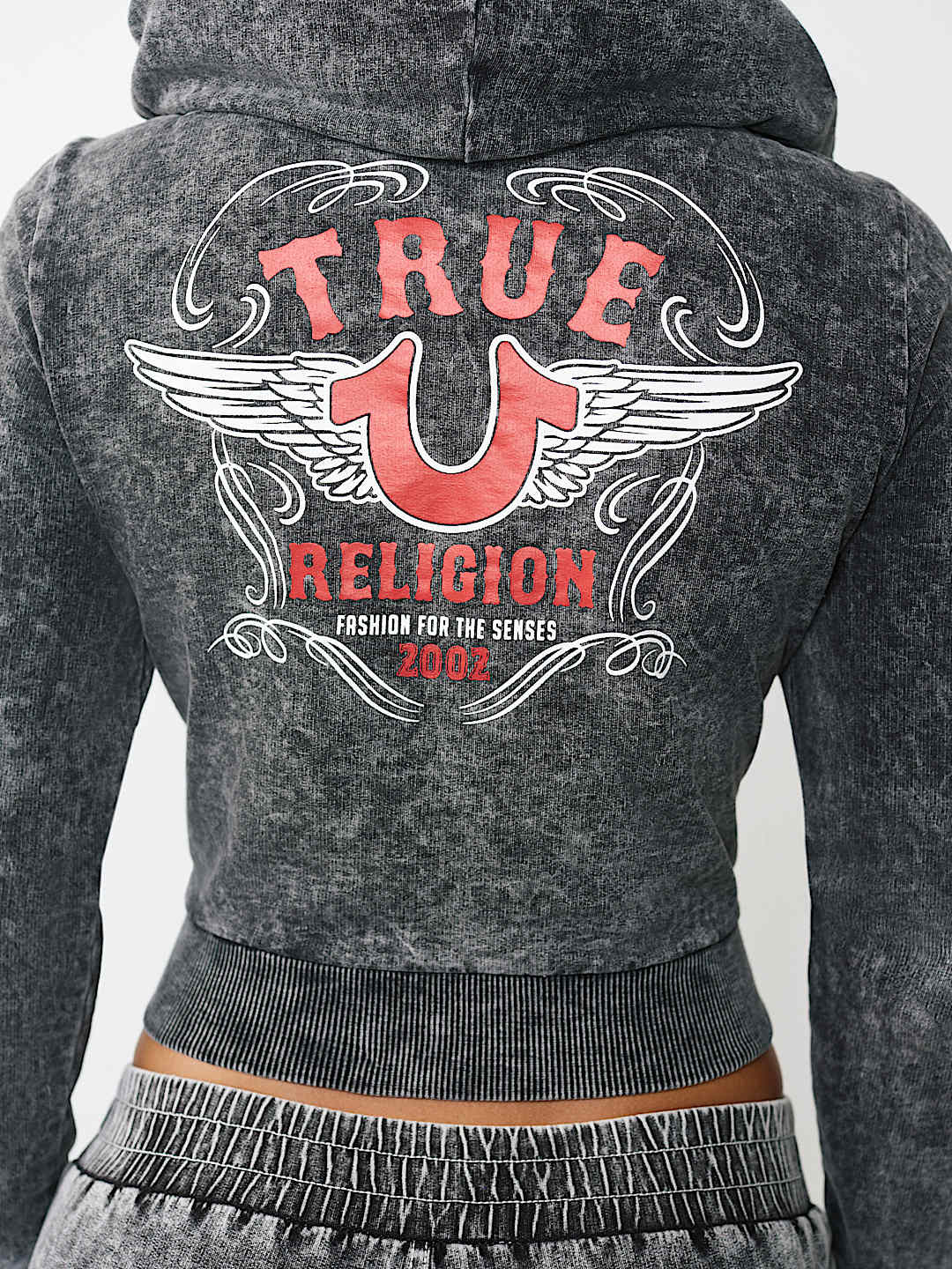 HORSESHOE WING FAUX DENIM HOODIE, image 1