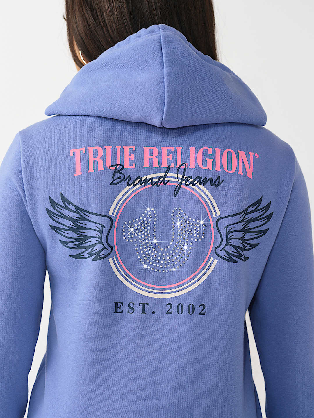 SUDADERA CON CAPUCHA Y CIERRE GASTADA CL&Aacute;SICA, image 1