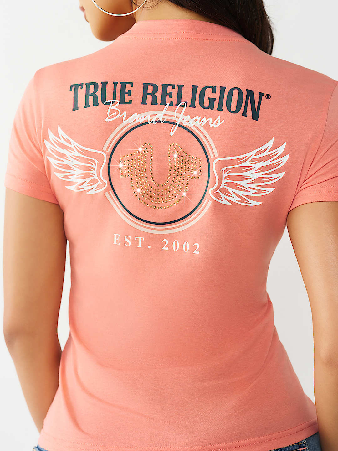 HORSESHOE WING CREWNECK TEE, image 1