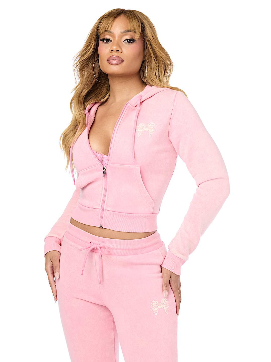 WASHED WING SHRUNKEN ZIP HOODIE