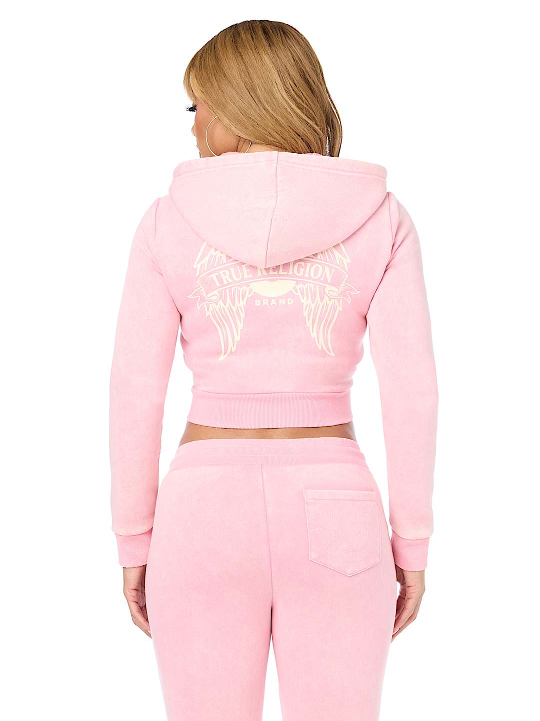WASHED WING SHRUNKEN ZIP HOODIE
