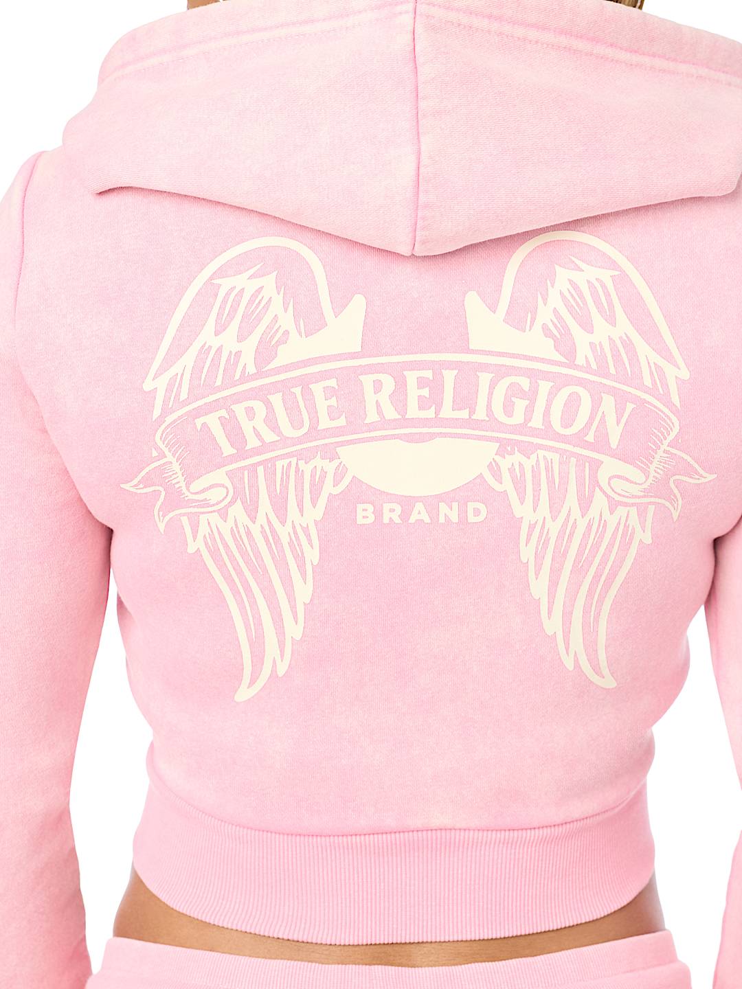 WASHED WING SHRUNKEN ZIP HOODIE