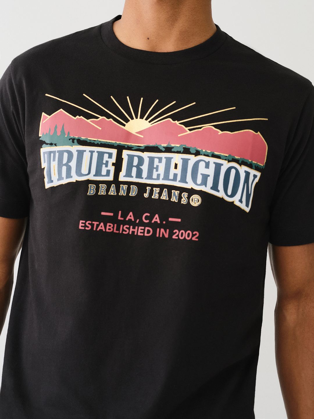 METALLIC LANDSCAPE ARCHED LOGO TEE, image 2