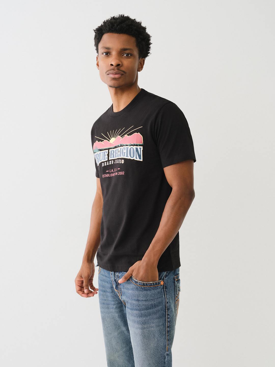METALLIC LANDSCAPE ARCHED LOGO TEE, image 4