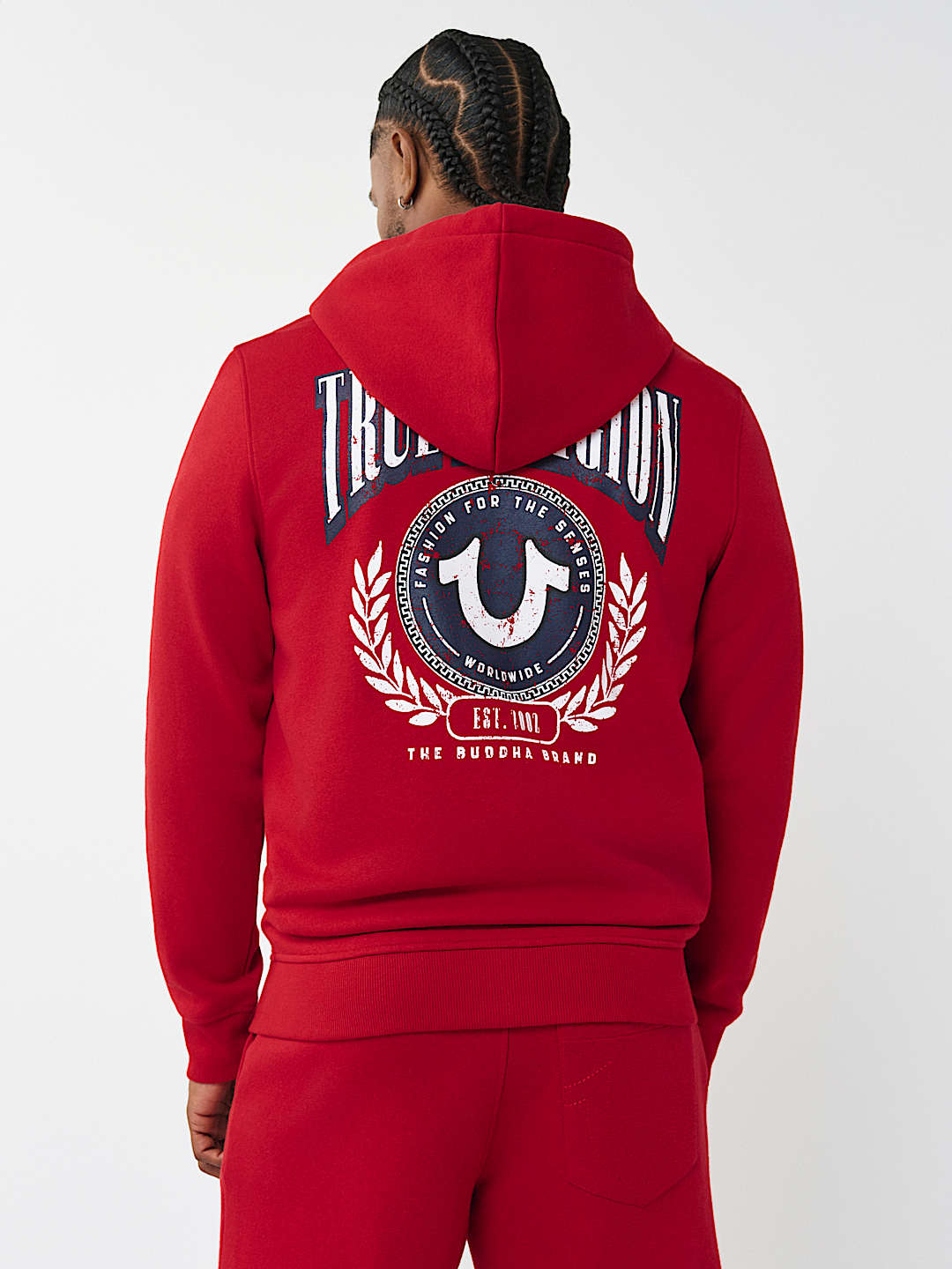 COLLEGE HORSESHOE ZIP HOODIE, image 5